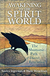  awakening to the spirit world